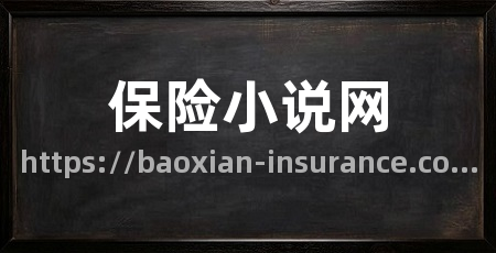 保险小说网