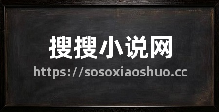 搜搜小说网