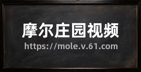 摩尔庄园视频