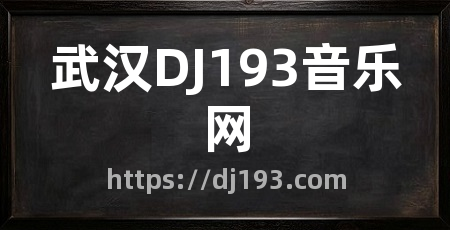 武汉DJ193音乐网