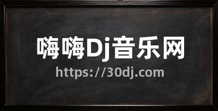 嗨嗨Dj音乐网