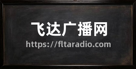 飞达广播网