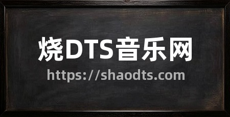 烧DTS音乐网