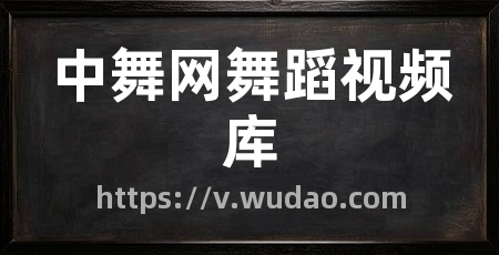 中舞网舞蹈视频库