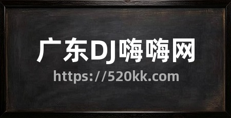 广东DJ嗨嗨网