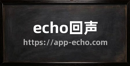 echo回声