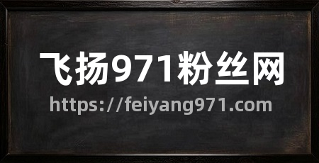 飞扬971粉丝网