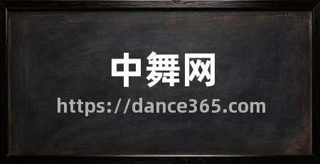 中舞网
