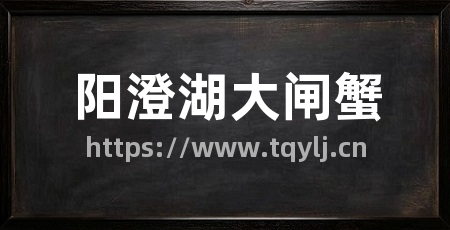 阳澄湖大闸蟹