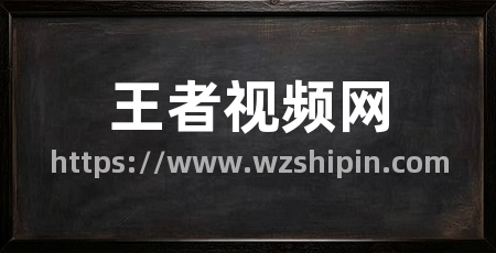王者视频网