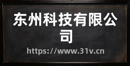 东州科技有限公司