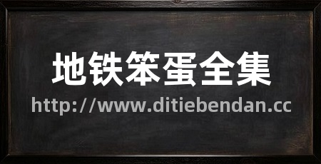 地铁笨蛋全集