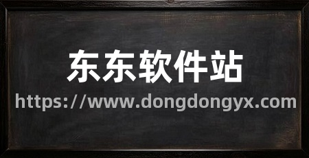 东东软件站