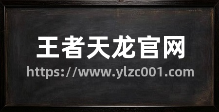 王者天龙官网