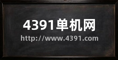 4391单机网