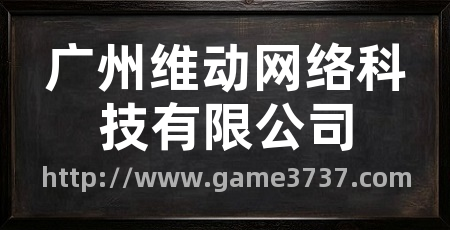广州维动网络科技有限公司