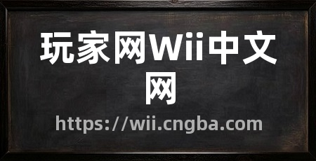 玩家网Wii中文网