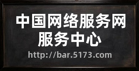 中国网络服务网服务中心